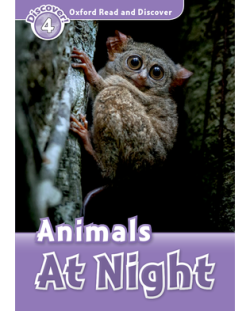 ANIMALS AT NIGHT (ORD 4)