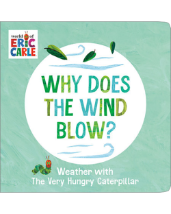 WHY DOES THE WIND BLOW?(BOARD)