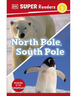 DKSR 2: NORTH POLE SOUTH POLE