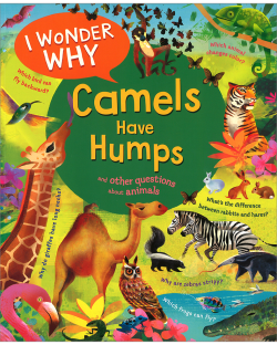 I WONDER WHY CAMELS HAVE HUMPS(US)
