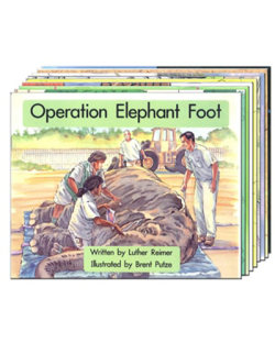 APRICOT SPRING BOARD PACK 09