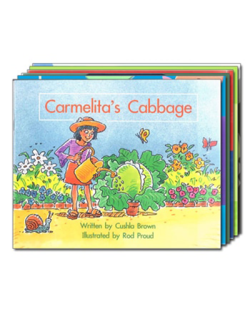 APRICOT SPRING BOARD PACK 12