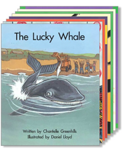 APRICOT SPRING BOARD PACK 15