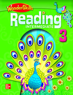 WONDERSKILLS READ INTER 3