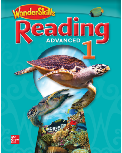 WONDERSKILLS READ ADV 1