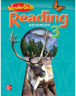 WONDERSKILLS READ ADV 3