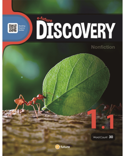E-FUTURE DISCOVERY 1-1 (30 Words)