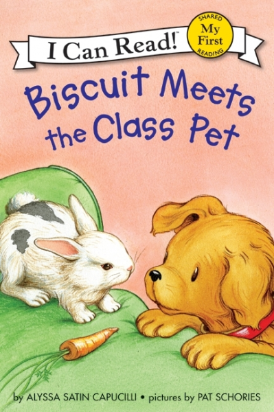 KM132: BISCUIT PHONICS FUN (12冊) (ICR 0)