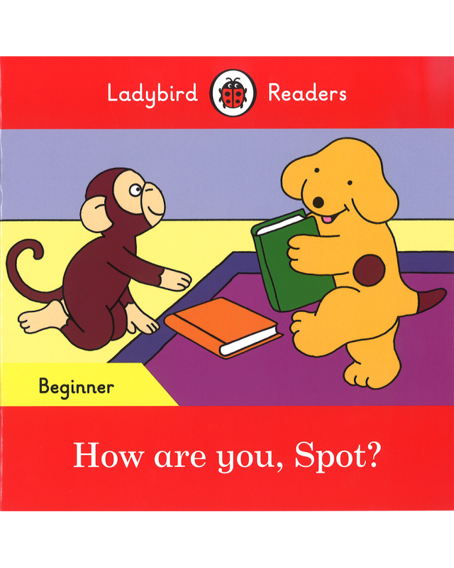 HOW ARE YOU, SPOT? (LBR Beginner)