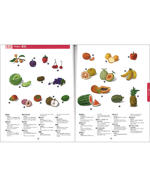 ILLUSTRATED DICTIONARY JAPNESE / ENGLISH イラスト和英辞典