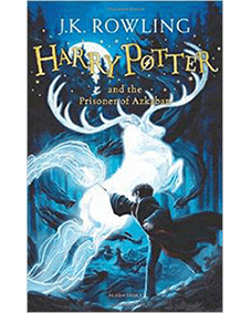 2: HARRY POTTER & CHAMBER OF SECRETS (PAPER)