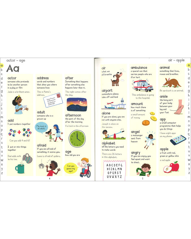 KM234: USBORNE PICTURE DICTIONARY