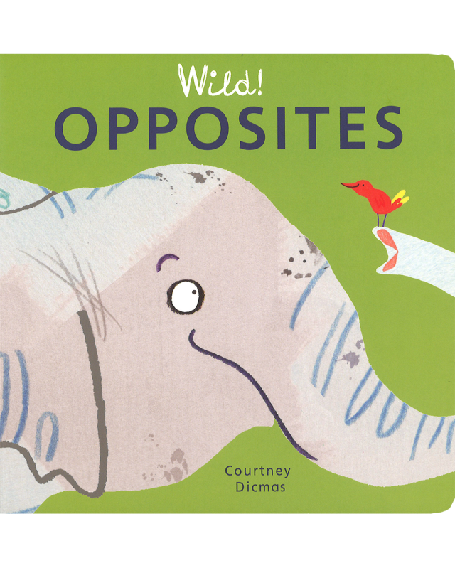 KM055: ERIC CARLE'S OPPOSITES