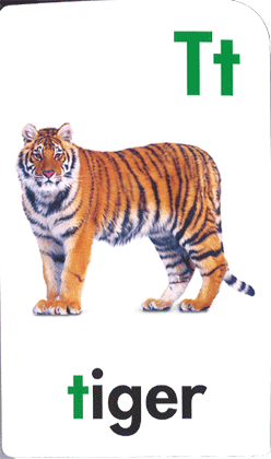 PIZZA TIGER 英語版 Pizza Tiger by Thomas Monaghan 9780394553597| eBay