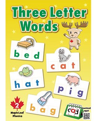 EVERYDAY ENGLISH (2/E) W/QR