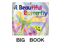 BEAUTIFUL BUTTERFLY (BIG BOOK)