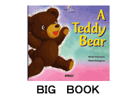 TEDDY BEAR (BIG BOOK)