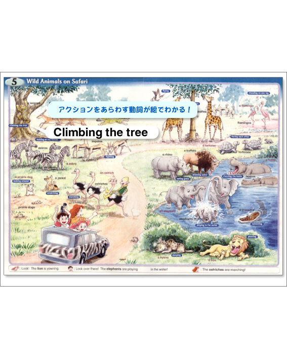 AJ'S PICTURE DICTIONARY