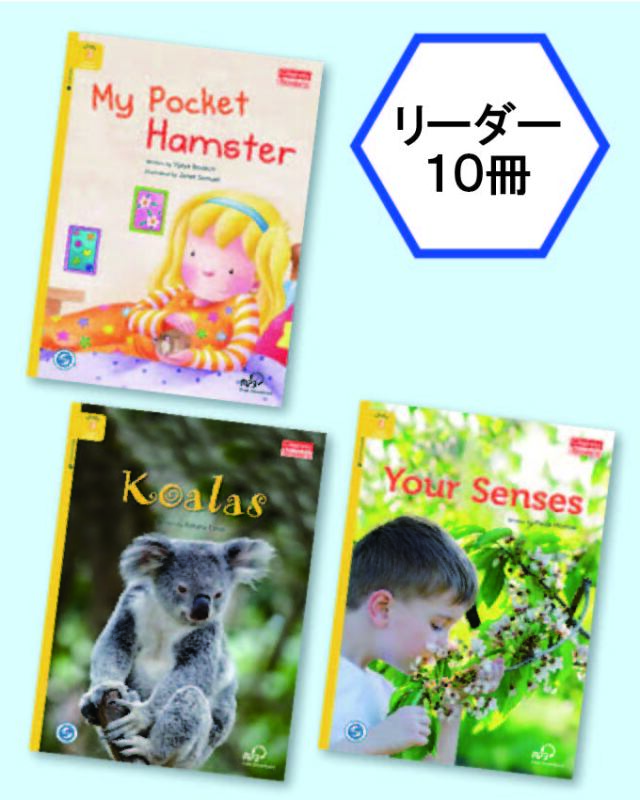 LITTLE HANDS ABC BOOK