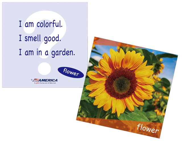 森の知恵　英語版　レジェンド KM365: WHAT AM I #1 NEW EDITION (GM108)