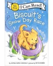 BISTUIT'S SNOW DAY RACE