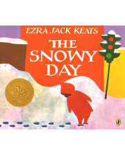 SNOWY DAY