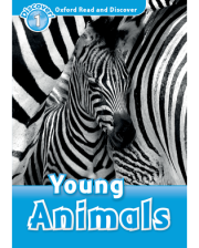 YOUNG ANIMALS (ORD 1)