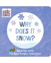 WHY DOES IT SNOW?(BOARD)