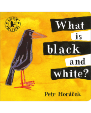 WHAT IS BLACK AND WHITE?(BOARD)