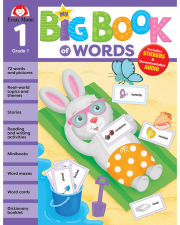 MY BIG BOOK OF WORDS GRADE 1