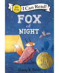 ICR 0: FOX AT NIGHT