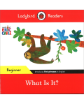 LBR B: ERIC CARLE: WHAT IS IT?