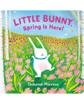 LITTLE BUNNY, SPRING IS HERE!