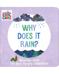 WHY DOES IT RAIN?(BOARD)