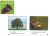9555717700473_1.png