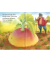 ENORMOUS TURNIP