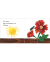 LBR B: ERIC CARLE: WHERE IS CLICK BEETLE