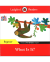 LBR B: ERIC CARLE: WHAT IS IT?
