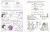 9780307035882_2015big2.gif