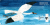 9780312515812big.gif