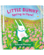 LITTLE BUNNY, SPRING IS HERE!