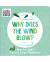 WHY DOES THE WIND BLOW?(BOARD)