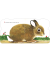 RICHARD SCARRY'S BUNNIES(BOARD)