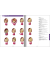 ILLUSTRATED DICTIONARY JAPA / ENG(PB)