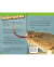 NGR 2: SNAKES