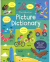 USBORNE PICTURE DICTIONARY(HB)
