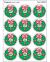 NOEL EVERGREEN (T-83708)(SCRATCH 'N SNIF