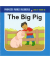 PHONICS MAKES READERS: LEARN TO READ 2