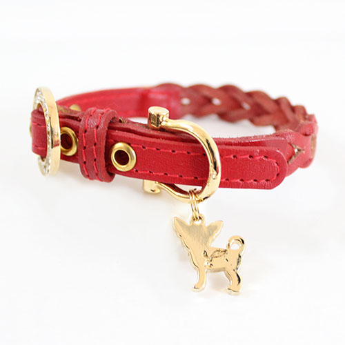 犬 首輪 リード Charlotte 1stレッド