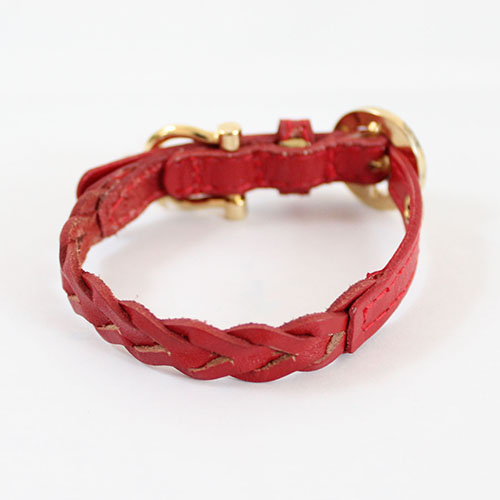 犬 首輪 リード Charlotte 1st　レッド